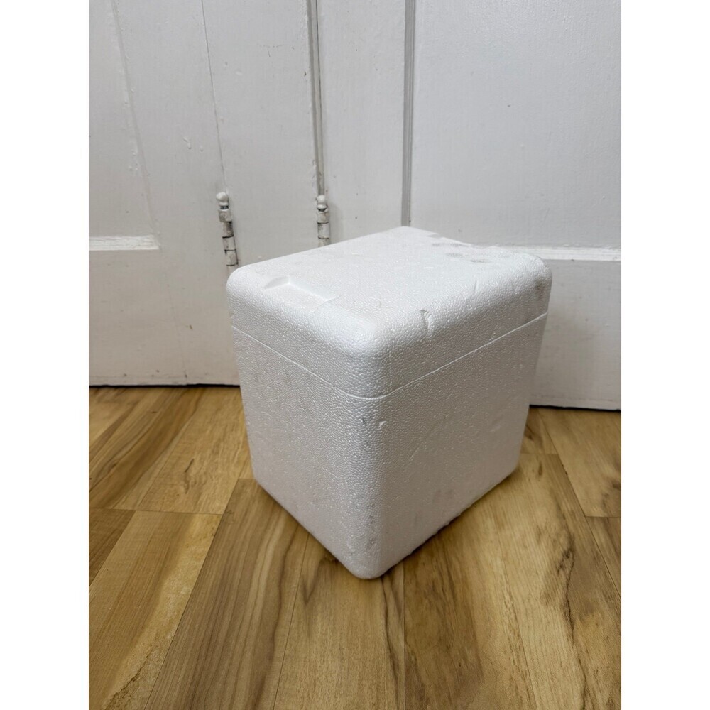 Small White Styrofoam Insulated Cooler Box with Lid